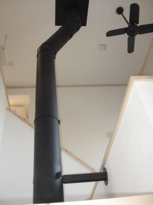 010.JPG