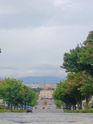 坂道