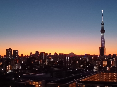 スカイツリーと富士山