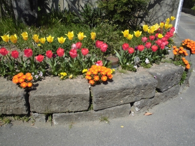 花壇①