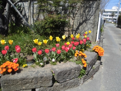 花壇③