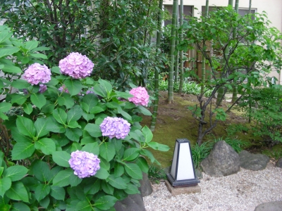 DSCN0282.JPG
