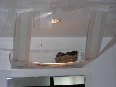 DSCN0337.JPG