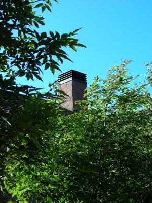 DSCN0557.JPG