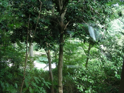 DSCN0683.JPG
