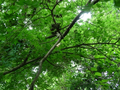 DSCN0694.JPG