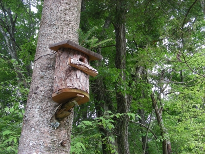 DSCN0918.JPG