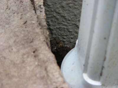 DSCN1019.JPG