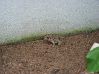 DSCN1022.JPG