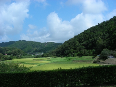 DSCN1146.JPG