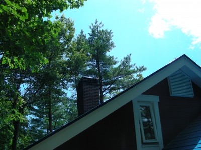 DSCN1280.JPG
