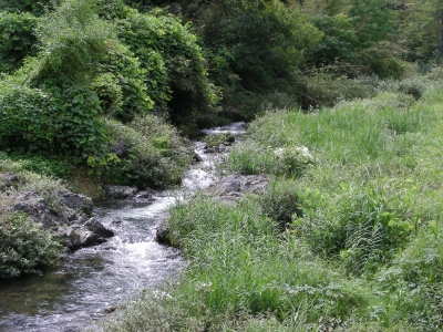 風景2