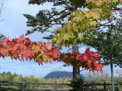 DSCN1706.JPG