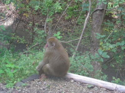 DSCN1710.JPG