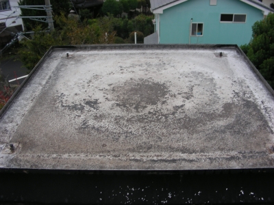 DSCN1778.JPG