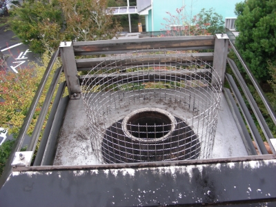 DSCN1782.JPG
