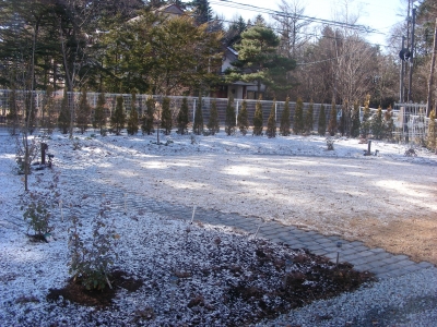 庭の雪