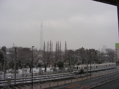 ショールーム前の公園