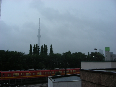 雨のスカイツリー