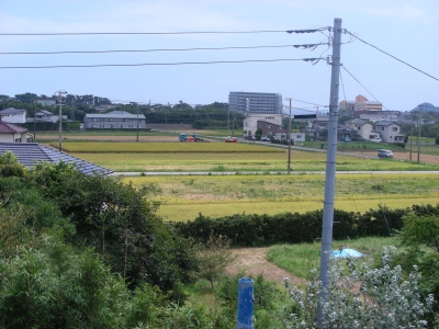 田園風景