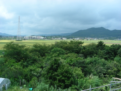 田園風景