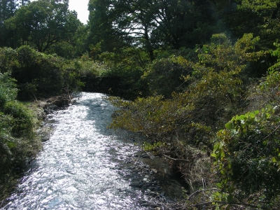 小川
