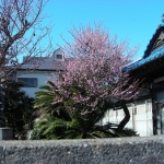 DSCN6572.JPG