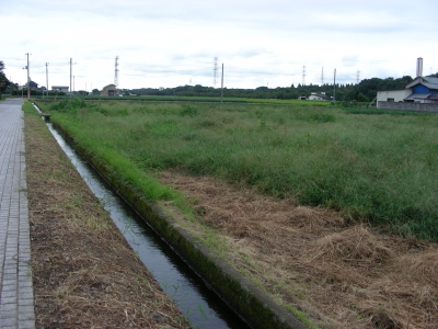 DSCN7080.JPG