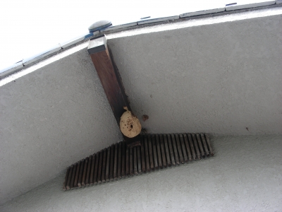 DSCN7177.JPG