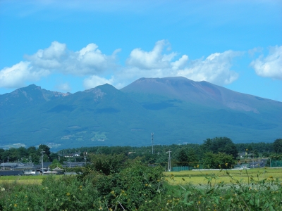 DSCN7229.JPG
