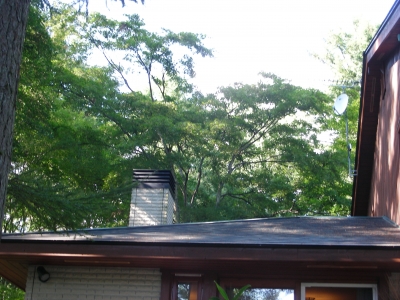 DSCN7279.JPG