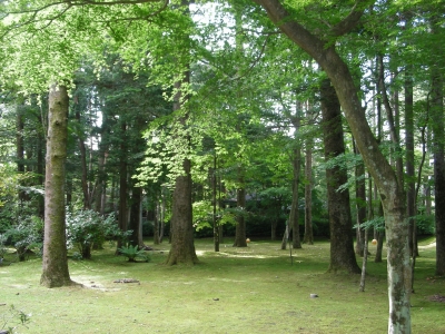 DSCN7310.JPG