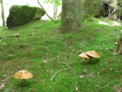 DSCN7316.JPG