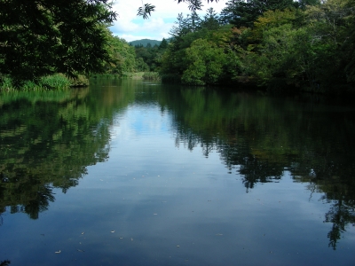 DSCN7319.JPG