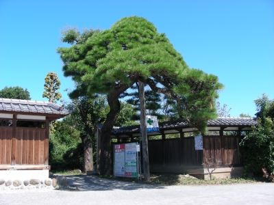 DSCN7396.JPG