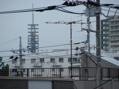 DSCN7526.JPG