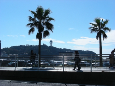DSCN7862.JPG
