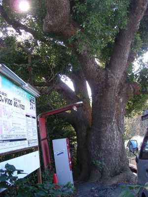 DSCN8134.JPG