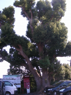 DSCN8136.JPG