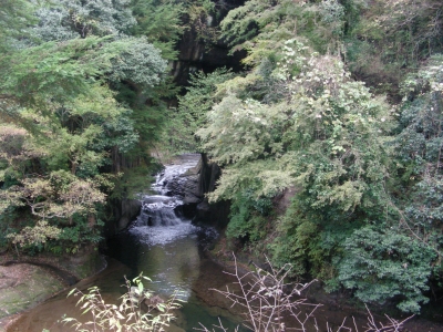 DSCN8144.JPG