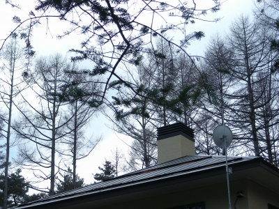 DSCN8435.JPG