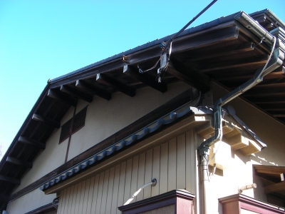DSCN8449.JPG