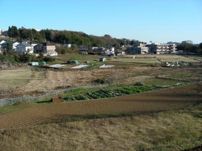 DSCN8636.JPG