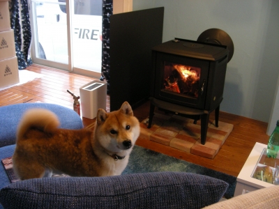 DSCN8805.JPG