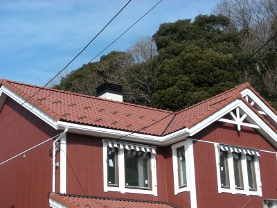 DSCN8977.JPG