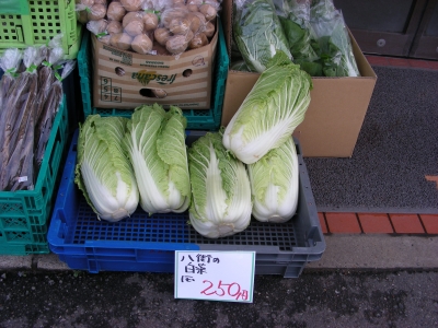 DSCN8979.JPG