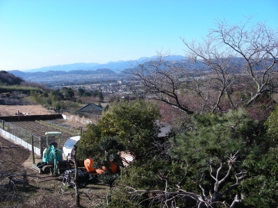 DSCN9148.JPG