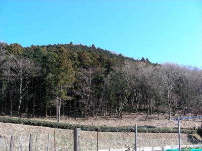 DSCN9160.JPG