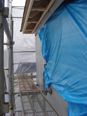 DSCN9211.JPG