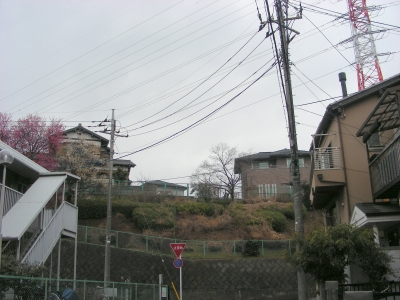 DSCN92141.JPG